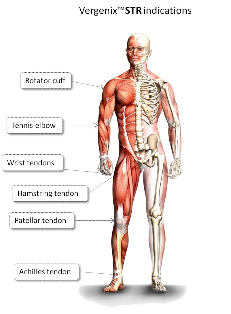 peer reviewed articles on acl injuries peer reviewed articles on acl injuries